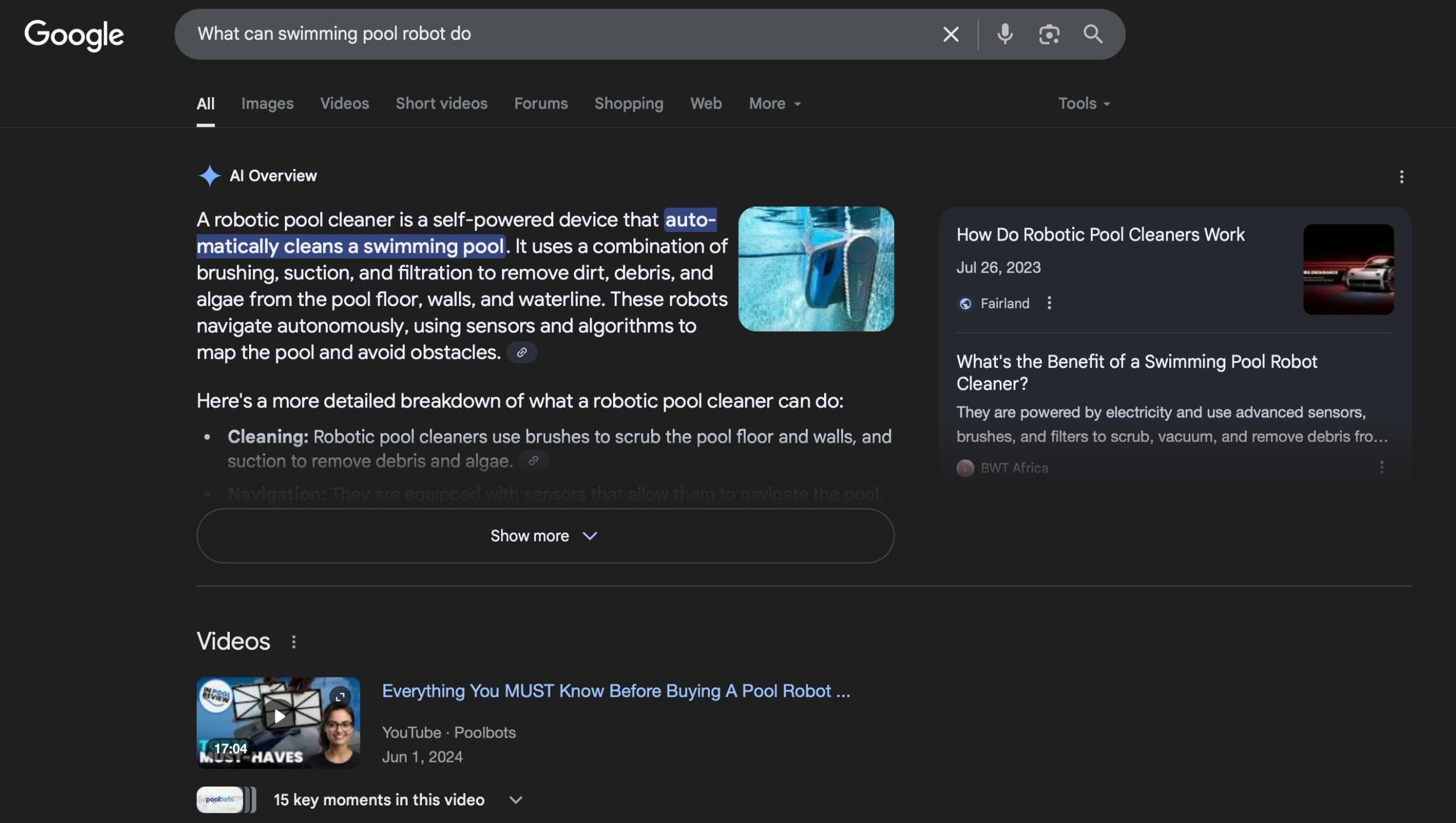 Google AI Overviews